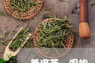 普洱茶 混饮/2023091259794